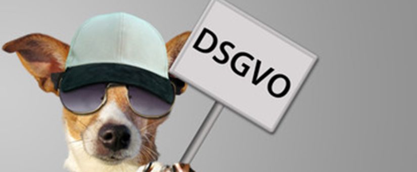 Hund mit Sonnenbrille und Cappy hält Schild mit DSGVO Aufschrift
